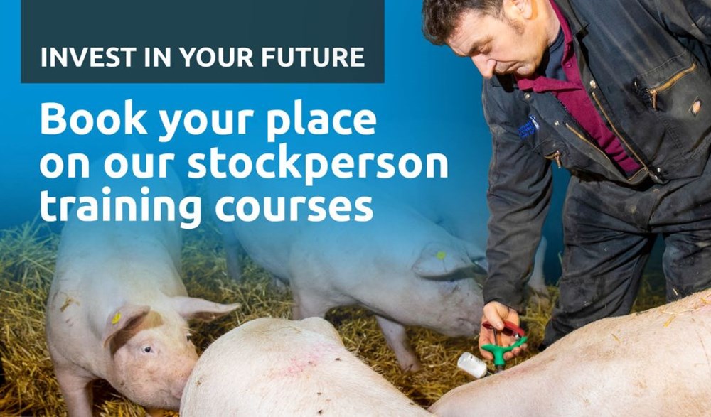 Promo for pork stockperson training courses.